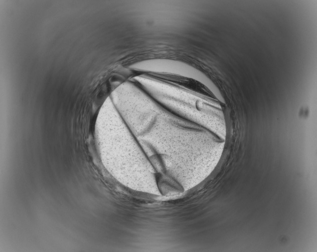 X0000110880417200907161507