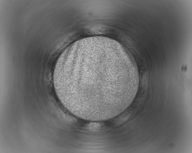 X0000110880418200907161507