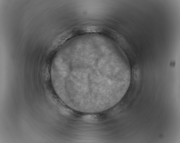 X0000110880422200907161507