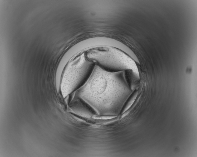 X0000110880425200907161507