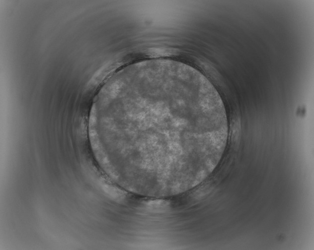 X0000110880426200907161507