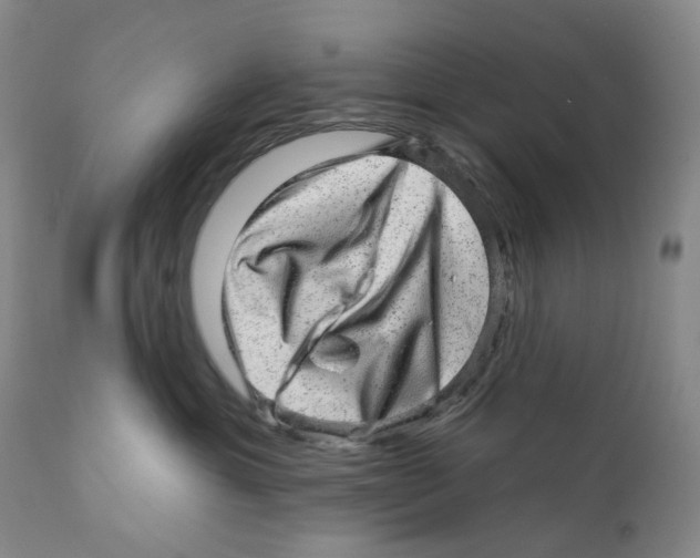 X0000110880429200907161507