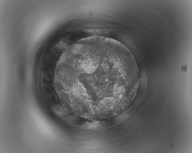 X0000110880430200907161507