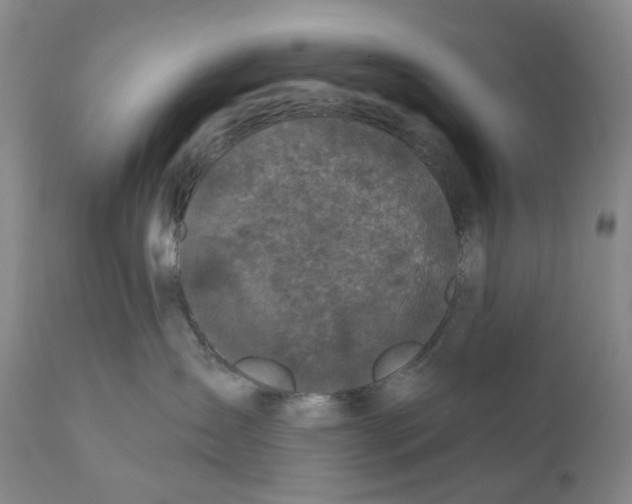 X0000110880431200907161506