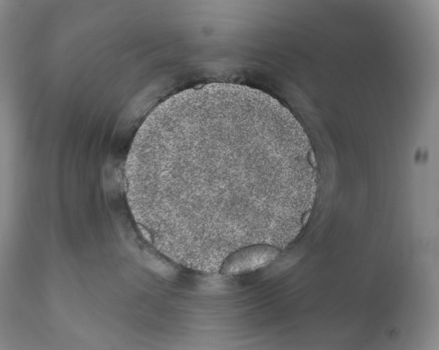 X0000110880432200907161506