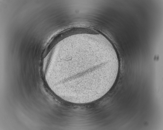 X0000110880434200907161505