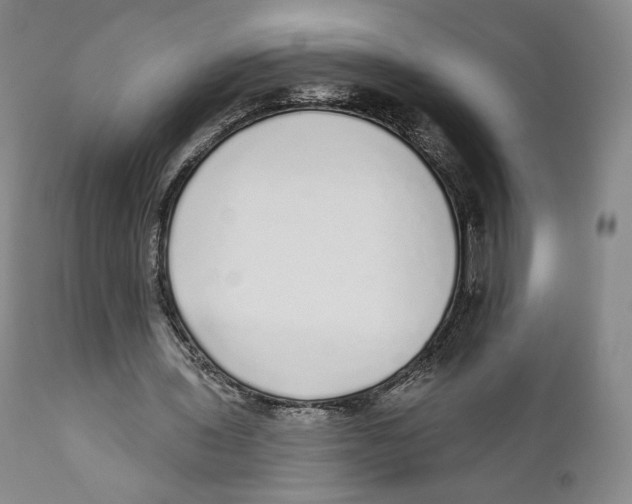 X0000110880435200907161506