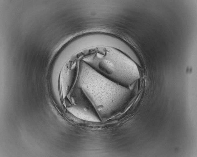 X0000110880436200907161506