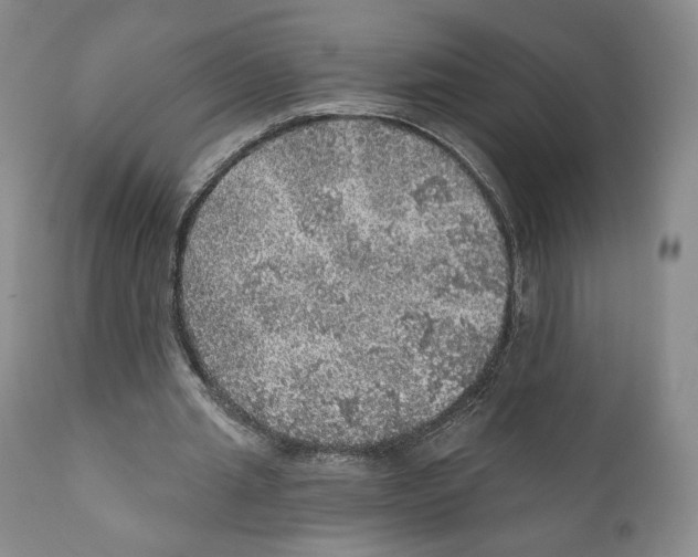 X0000110880437200907161506