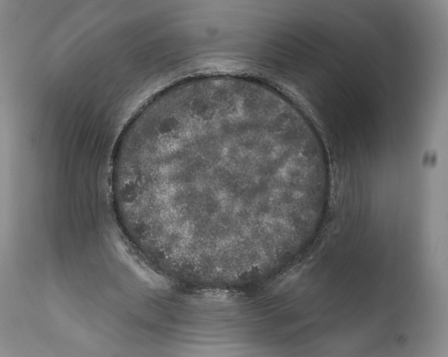 X0000110880439200907161506