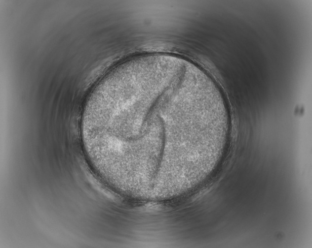 X0000110880441200907161506