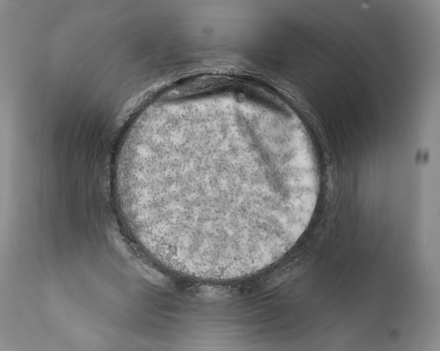 X0000110880442200907161506