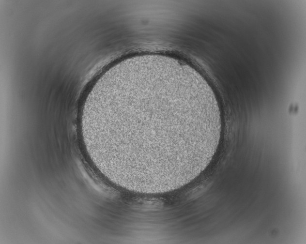 X0000110880443200907161506