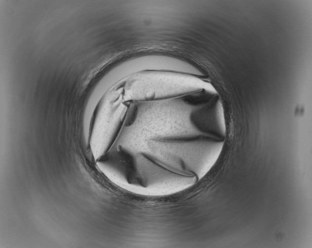 X0000110880444200907161506