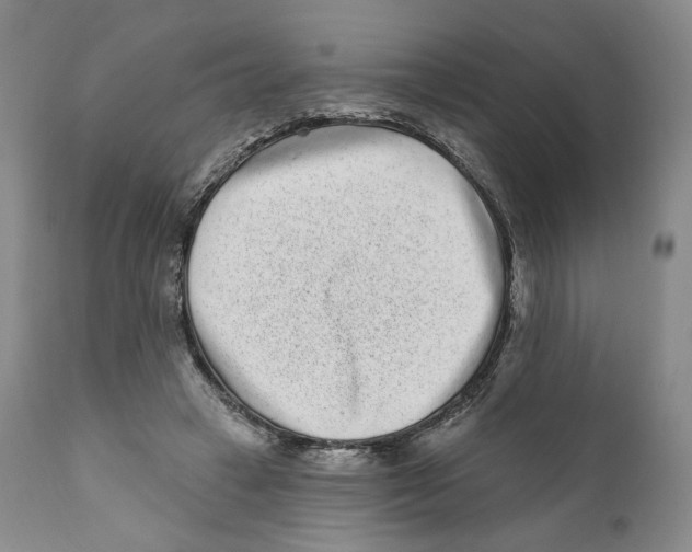 X0000110880449200907161506