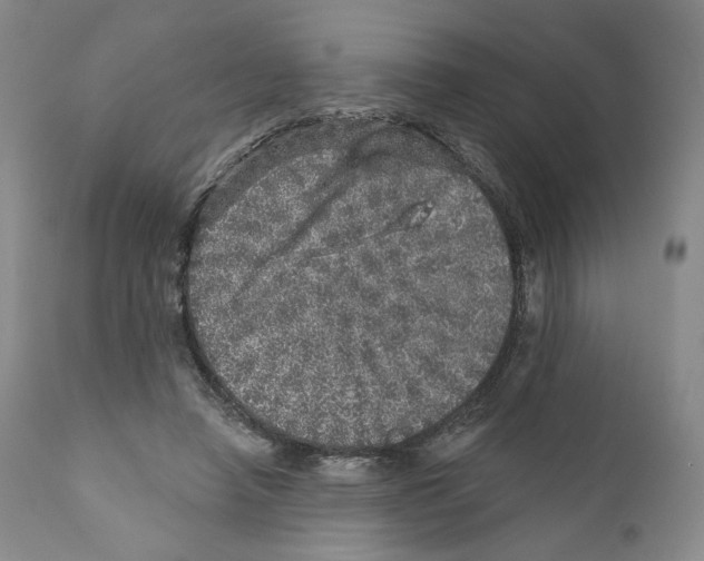 X0000110880450200907161506