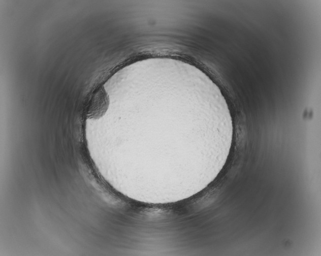 X0000110880453200907161506