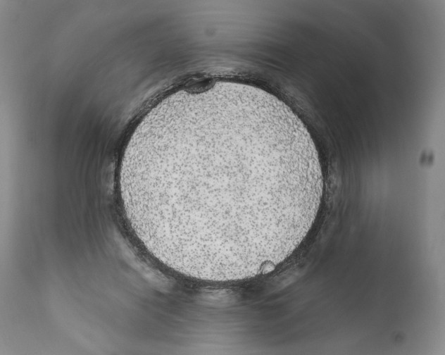 X0000110880454200907161506