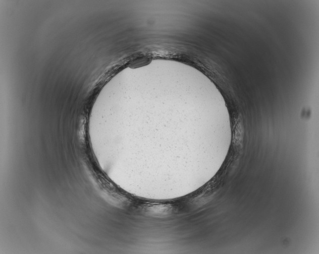 X0000110880456200907161506