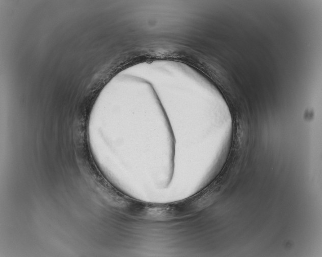 X0000110880461200907161506