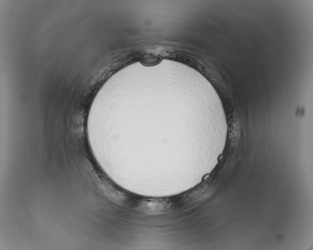 X0000110880466200907161506