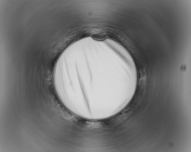 X0000110880469200907161506