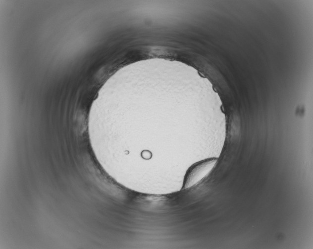 X0000110880478200907161506