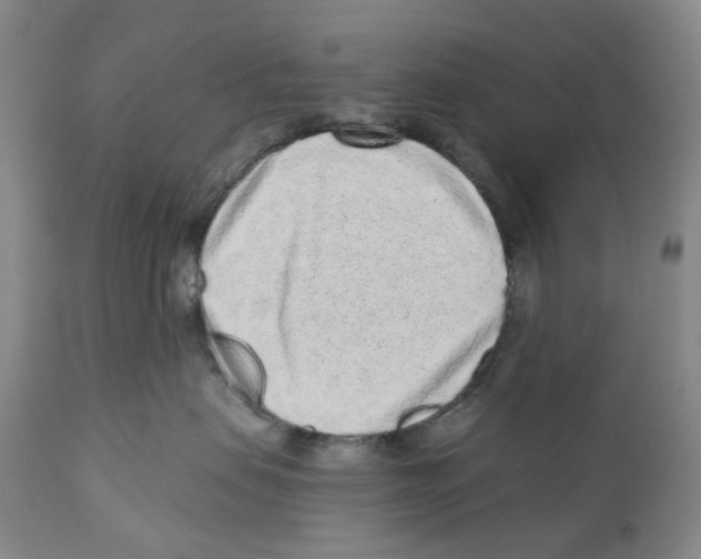 X0000110880479200907161506