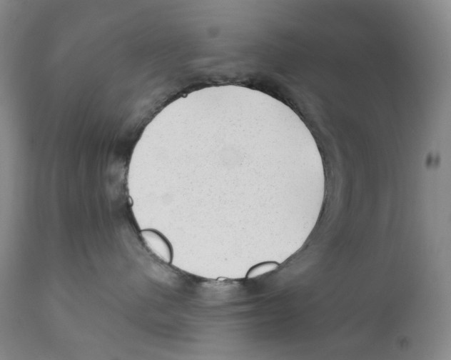 X0000110880480200907161506