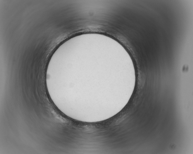 X0000110880481200907161505