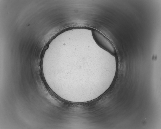 X0000110880485200907161505