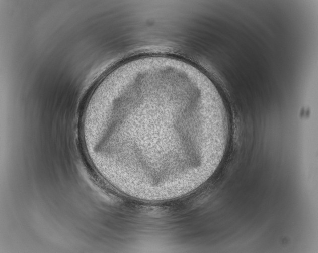 X0000110880486200907161505