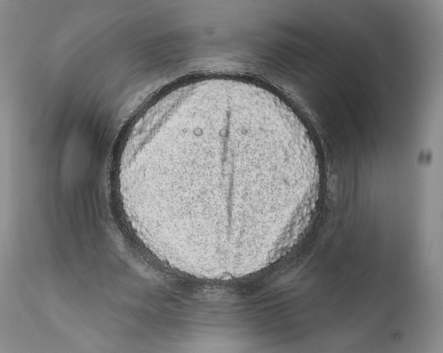 X0000110880487200907161505