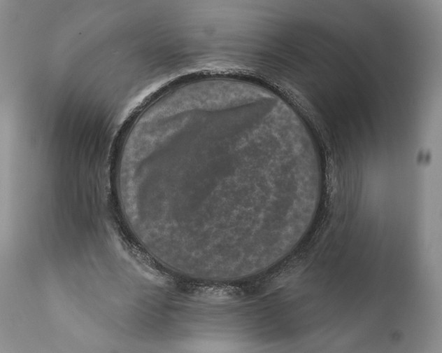 X0000110880488200907161505