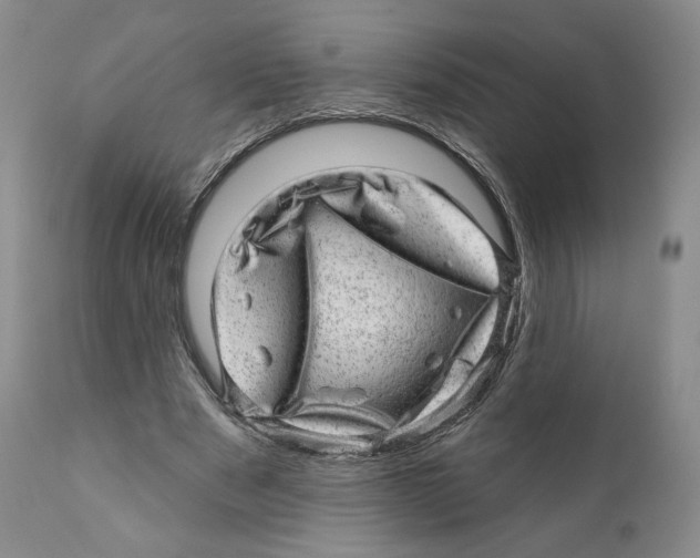 X0000110880489200907161505