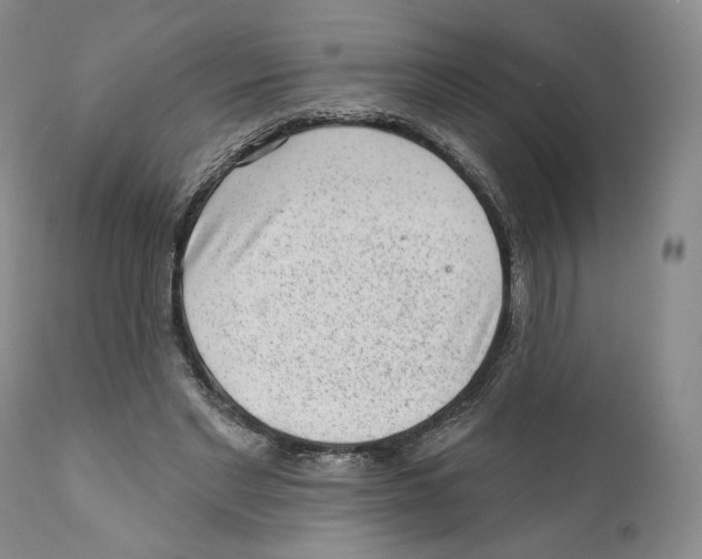 X0000110880493200907161505