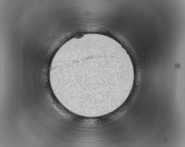 X0000110880497200907161505