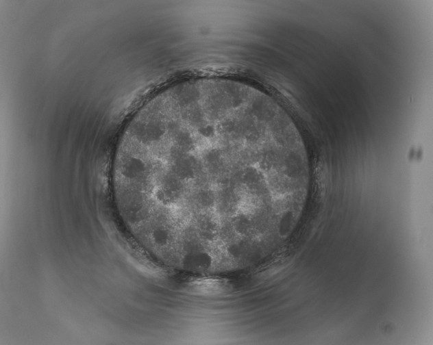 X0000110880499200907161505