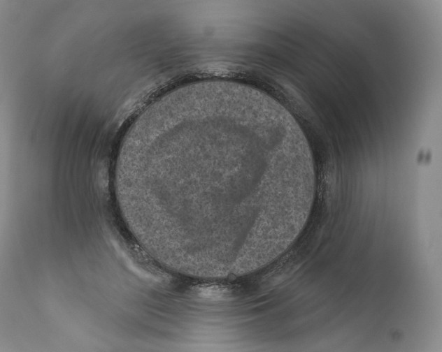 X0000110880500200907161505