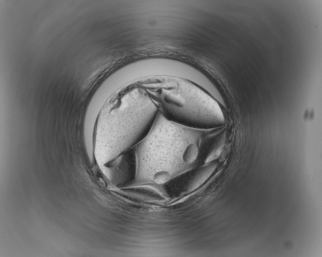 X0000110880501200907161505