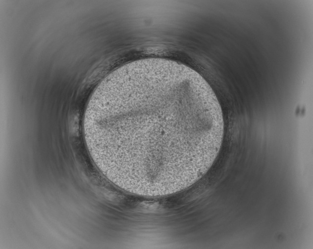 X0000110880502200907161505