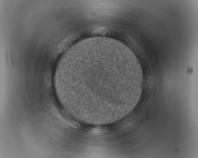 X0000110880504200907161505