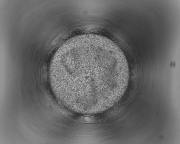 X0000110880506200907161505