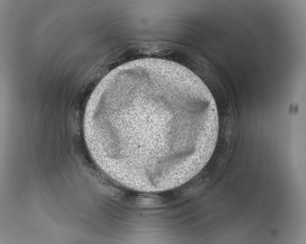 X0000110880510200907161505