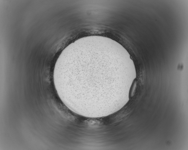 X0000110880512200907161505