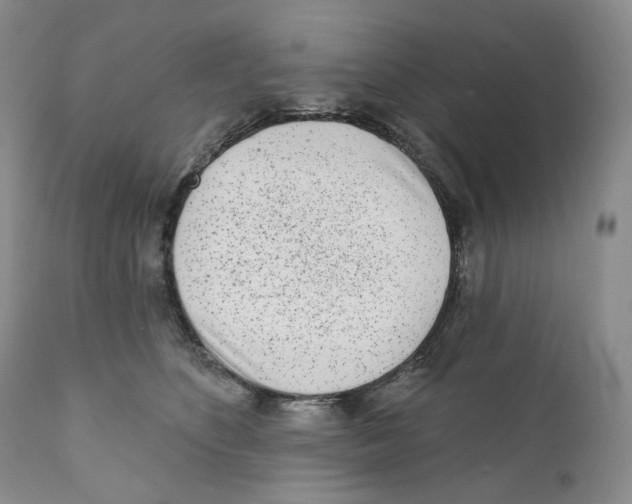 X0000110880516200907161505