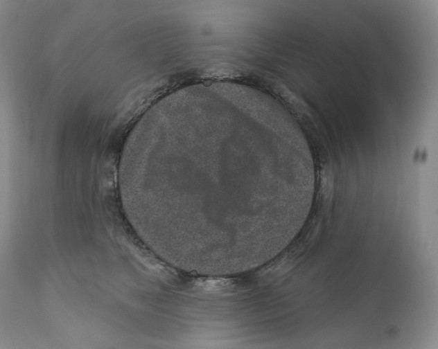 X0000110880517200907161505