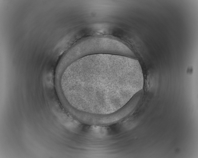 X0000110880520200907161505