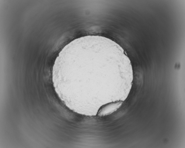 X0000110880523200907161505