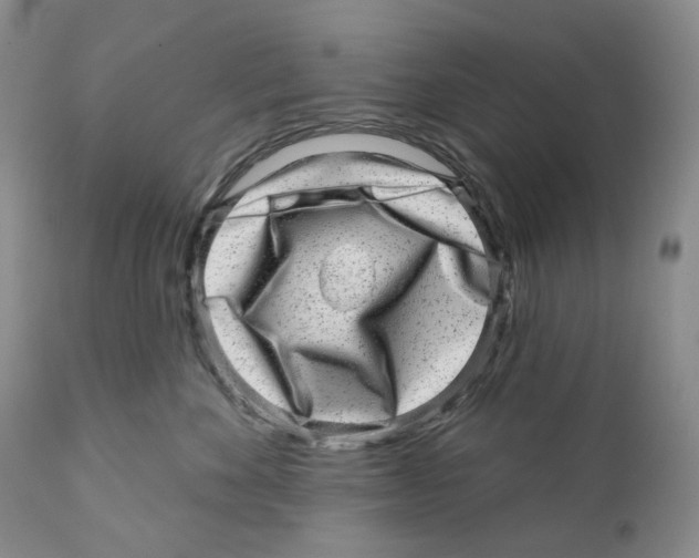 X0000110880524200907161505